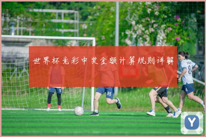 世界杯竞彩中奖金额计算规则详解