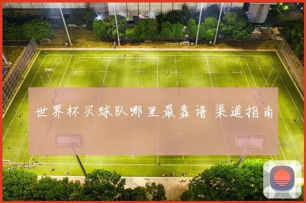 世界杯买球队哪里最靠谱 渠道指南