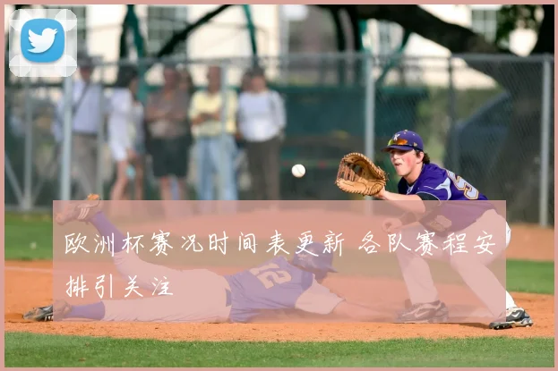 欧洲杯赛况时间表更新 各队赛程安排引关注