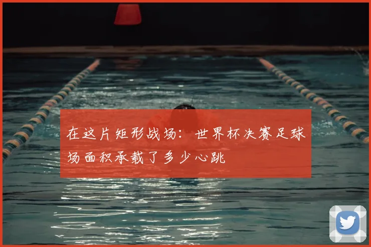在这片矩形战场：世界杯决赛足球场面积承载了多少心跳