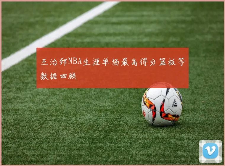 王治郅NBA生涯单场最高得分篮板等数据回顾