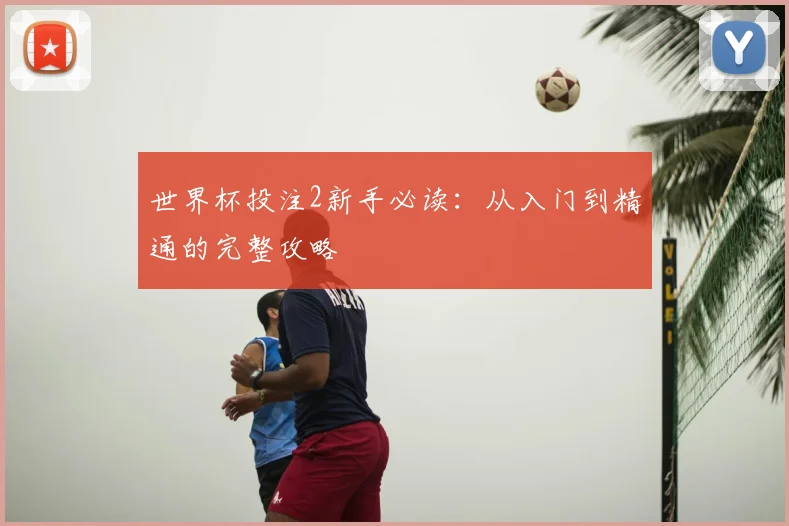 世界杯投注2新手必读：从入门到精通的完整攻略