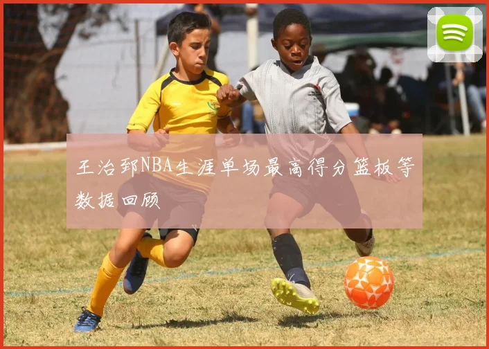 王治郅NBA生涯单场最高得分篮板等数据回顾