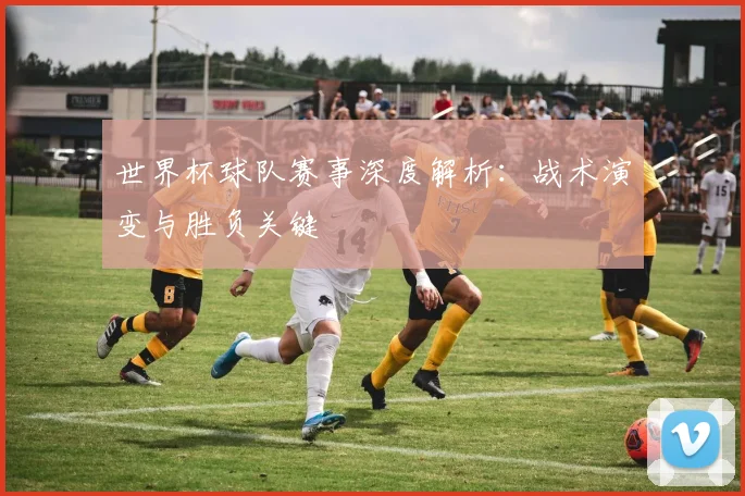 世界杯球队赛事深度解析：战术演变与胜负关键