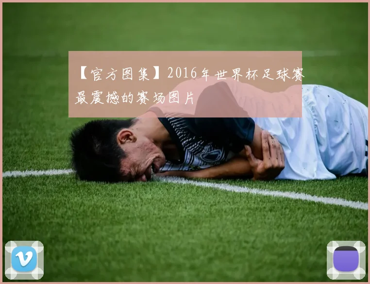 【官方图集】2016年世界杯足球赛最震撼的赛场图片