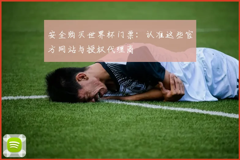 安全购买世界杯门票：认准这些官方网站与授权代理商