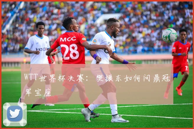 WTT世界杯决赛:樊振东如何问鼎冠军宝座