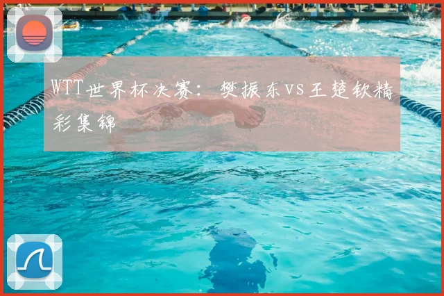 WTT世界杯决赛:樊振东vs王楚钦精彩集锦