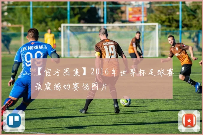 【官方图集】2016年世界杯足球赛最震撼的赛场图片