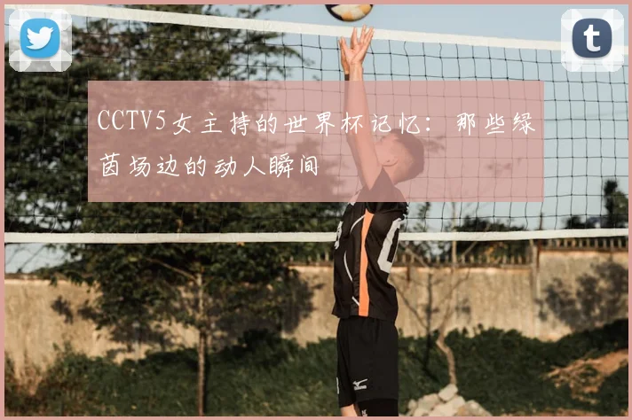 CCTV5女主持的世界杯记忆:那些绿茵场边的动人瞬间