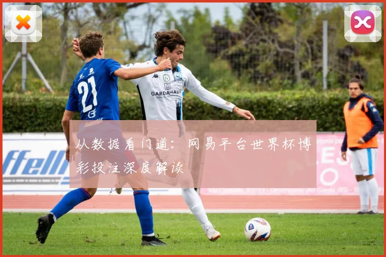从数据看门道：网易平台世界杯博彩投注深度解读