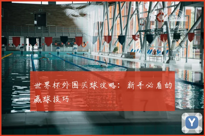 世界杯外围买球攻略：新手必看的赢球技巧