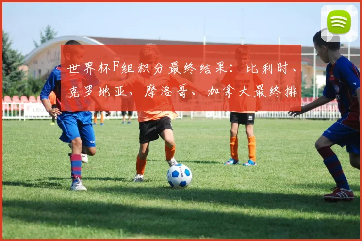 世界杯F组积分最终结果：比利时、克罗地亚、摩洛哥、加拿大最终排名