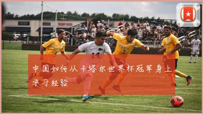 中国如何从卡塔尔世界杯冠军身上学习经验