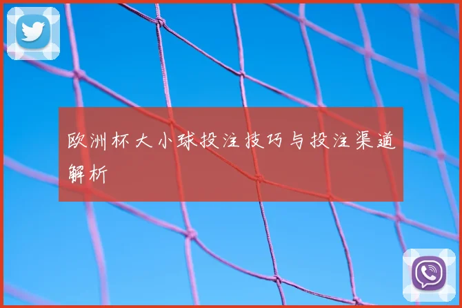 欧洲杯大小球投注技巧与投注渠道解析